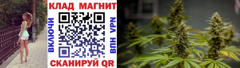 Виды наркоты Братск СК Галлюциногенные грибы Конопля КОКАИН Гашиш