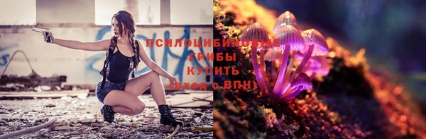 прущие грибы Балабаново