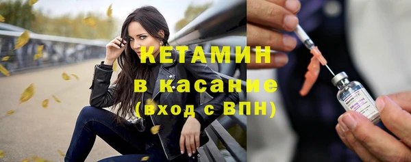 прущие грибы Балабаново