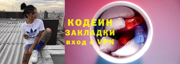 прущие грибы Балабаново